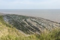 PXL_20240731_093017162