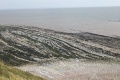 PXL_20240731_093024756