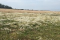 PXL_20240731_122236821