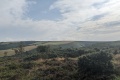 PXL_20240731_165511558