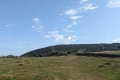 PXL_20240801_091254389