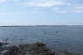 PXL_20240801_140123346