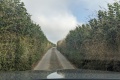 PXL_20240801_163155125