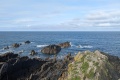 PXL_20240802_082933902