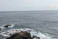 PXL_20240803_154244115