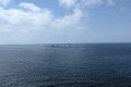 PXL_20240804_125536069
