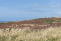 PXL_20240804_130032626