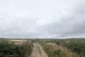 PXL_20240804_160735500