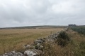 PXL_20240804_160801779