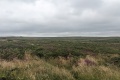PXL_20240804_161200792