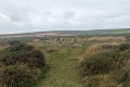 PXL_20240804_161400029