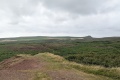 PXL_20240804_162853084