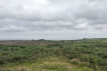 PXL_20240804_163316491