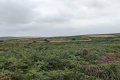 PXL_20240804_171600294