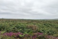 PXL_20240804_171615588