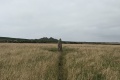 PXL_20240804_172420087