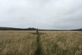PXL_20240804_172424191