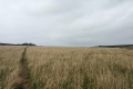 PXL_20240804_172531235