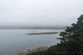 PXL_20240805_111209593