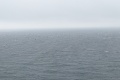 PXL_20240805_112937415