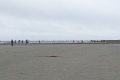 PXL_20240805_124348599