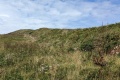 PXL_20240806_094224687