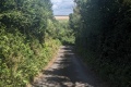 PXL_20240806_105128361