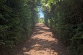 PXL_20240806_110101142