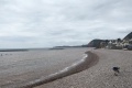 PXL_20240807_093722795