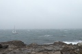 PXL_20240808_131037626