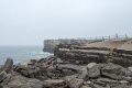 PXL_20240808_131601513