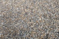 PXL_20240809_091400628