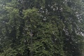 PXL_20240810_103628439