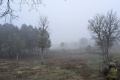2024-12-25-09h54m42