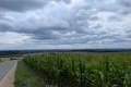 2025-07-28-14h46m41