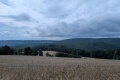 2025-07-31-16h16m15