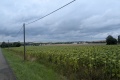 2025-07-31-16h46m32