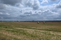 2025-08-02-12h09m29