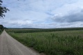 2025-08-03-10h26m22