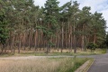 2025-08-03-10h34m50