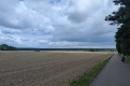2025-08-03-11h03m55